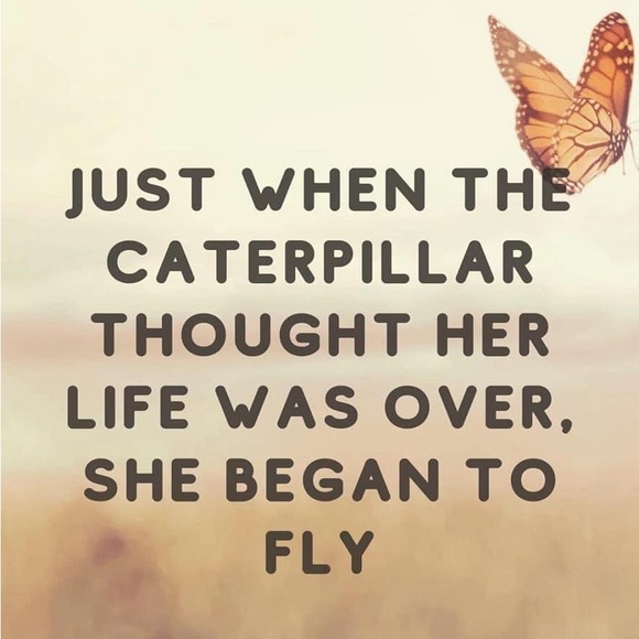 Meet your Posher,Aubree - Picture 11 of 12